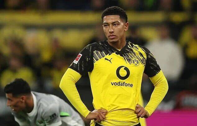 这个孩子没, 尽管哥哥的, 小贝林厄姆